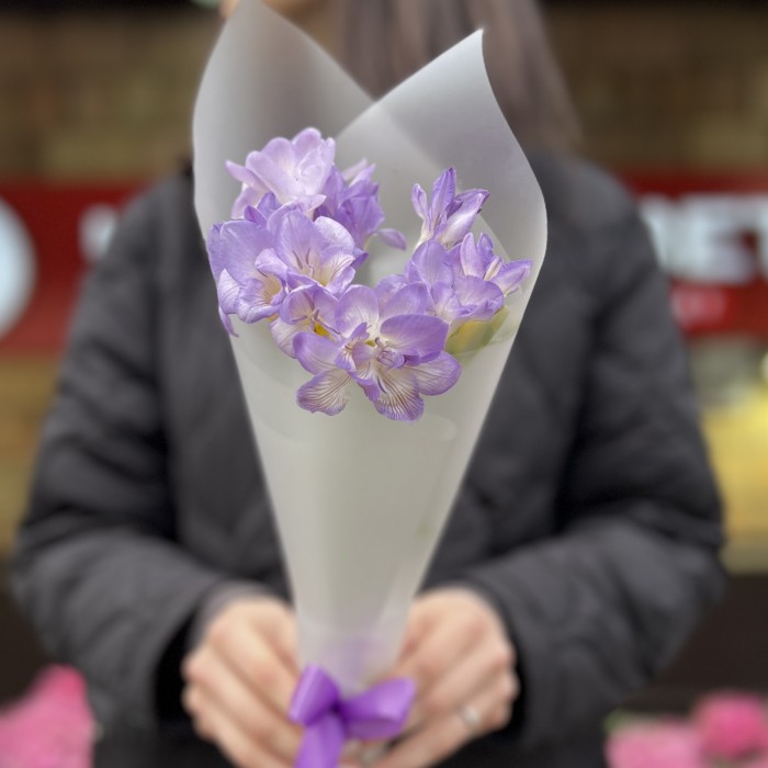 5 фиолетовых фрезий